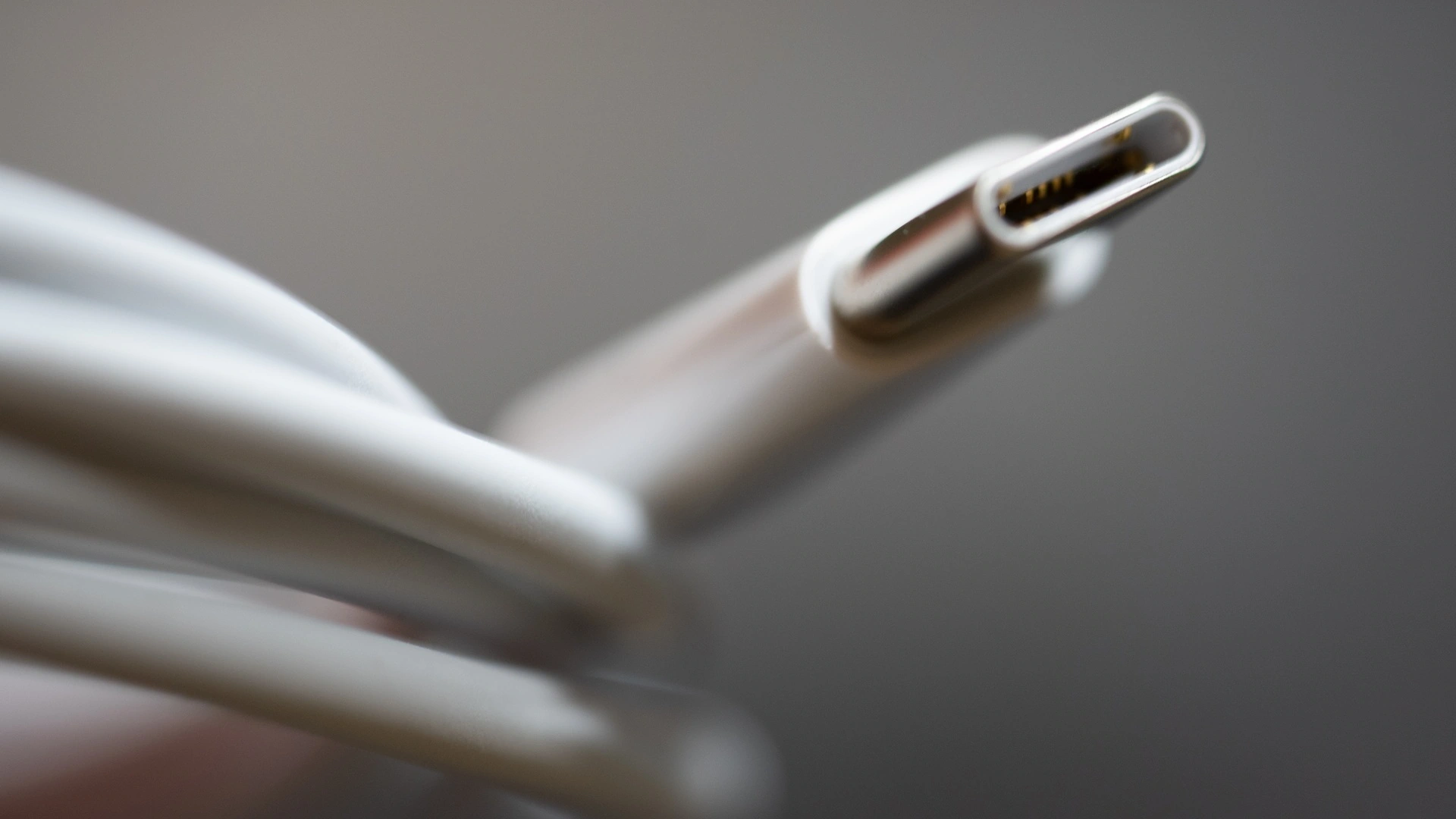 둥글게 감긴 흰색 케이블 위로 USB-C 커넥터가 보이는 확대 사진