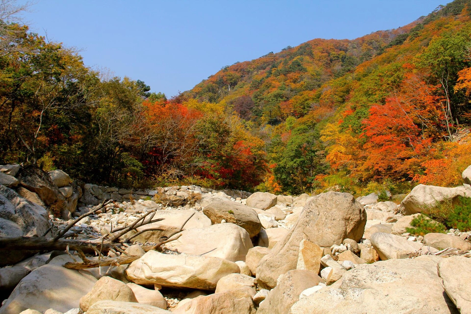 설악산 단풍 자료사진