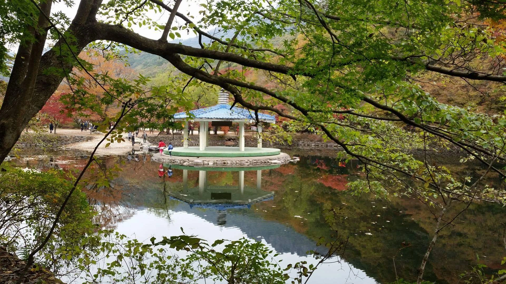 내장산 단풍 자료사진