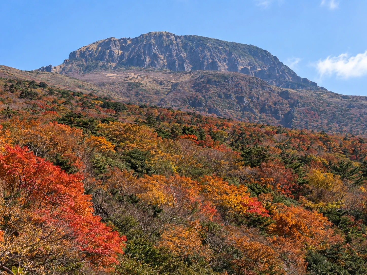 가을 단풍으로 물든 한라산 자락과 넓게 펼쳐진 숲 풍경을 담은 이미지. 붉은색과 주황색 단풍이 한라산 주변을 물들이고 있다.